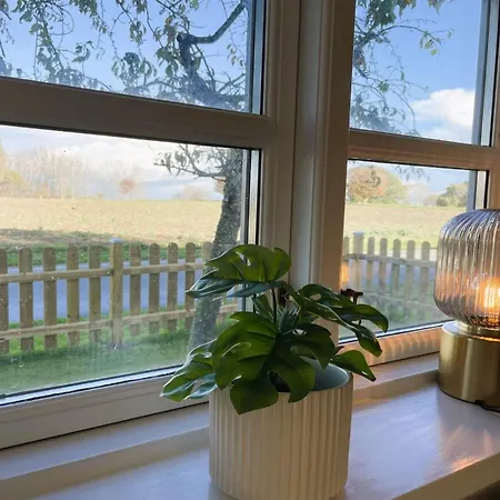 Dana - 525m From The Sea By Interhome