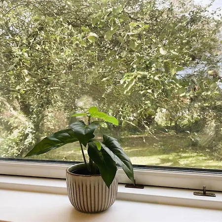 Dana - 525m From The Sea By Interhome Holiday home