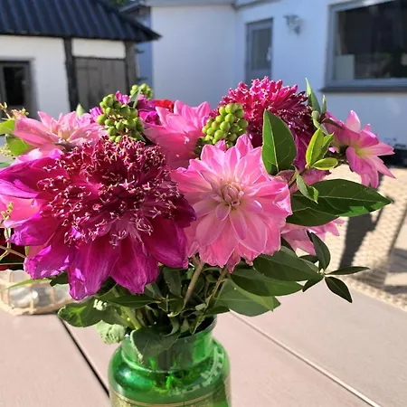 Dana - 525m From The Sea By Interhome *