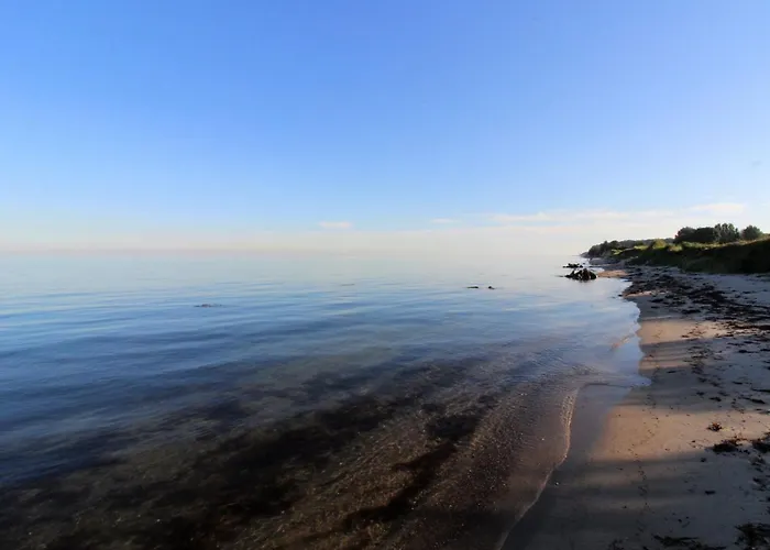 Dana - 525m From The Sea By Interhome Casa vacanze Tranekær