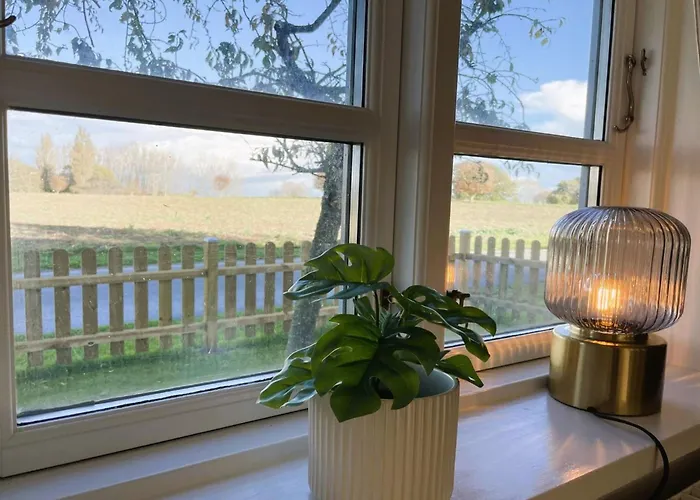 Dana - 525m From The Sea By Interhome Holiday home Tranekaer